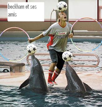 beckham et ses amis