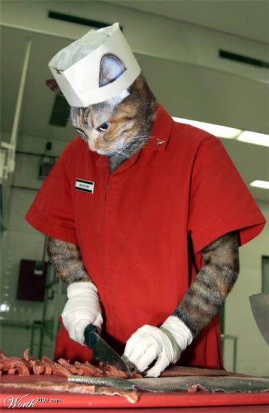 chef minouche